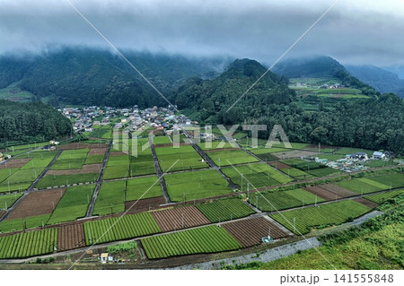 静岡県島田市の茶畑と霧に包まれた山間農村を捉えた空撮写真 静岡県島田市の茶畑と霧に包まれた山間農村を捉えた空撮写真 141555848