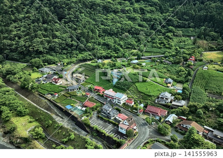 静岡県川根本町の茶畑と山間集落を捉えた空撮写真 静岡県川根本町の茶畑と山間集落を捉えた空撮写真 141555963