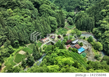静岡県静岡市口坂本の茶畑と山間集落を捉えた空撮写真 静岡県静岡市口坂本の茶畑と山間集落を捉えた空撮写真 141556046