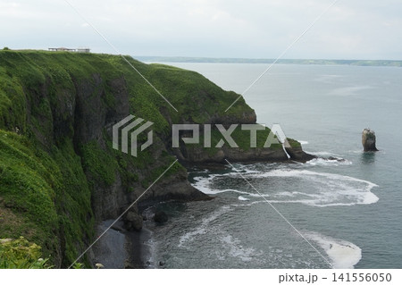 霧多布岬の絶景・緑の断崖と広がる海景色 141556050