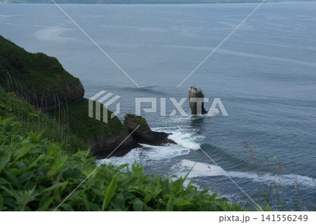 北海道・霧多布岬の自然風景・荒々しい海と岬の緑 141556249