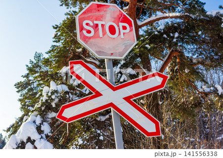 Prominent red STOP sign and a bold white railroad crossing marker standing against a crisp winter sky, flanked by snow-dusted pine branches 141556338