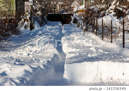 A pristine, deep snow path cuts through a sun-kissed rural landscape, flanked by towering drifts. A crisp, clear winter day scene A pristine, deep snow path cuts through a sun-kissed rural landscape, flanked by towering drifts. A crisp, clear winter day scene 141556349