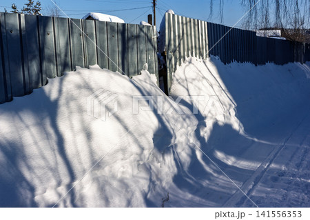 Winter wonderland scene: deep, pristine snowdrifts hug a corrugated metal fence. Long, intricate tree shadows beautifully pattern the bright, untouched white surface under a crisp blue sky Winter wonderland scene: deep, pristine snowdrifts hug a corrugated metal fence. Long, intricate tree shadows beautifully pattern the bright, untouched white surface under a crisp blue sky 141556353