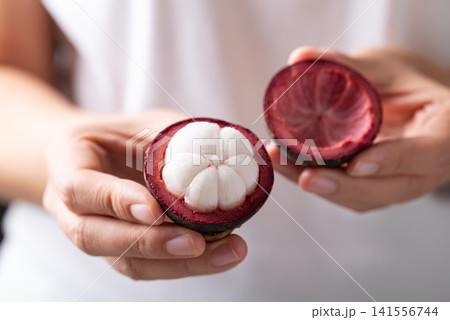 Fresh mangosteen holding by woman hand ready to eat, Tropical fruit in Thailand Fresh mangosteen holding by woman hand ready to eat, Tropical fruit in Thailand 141556744