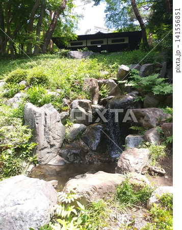 東京都国分寺市 殿ヶ谷戸庭園の滝と新緑の風景 東京都国分寺市 殿ヶ谷戸庭園の滝と新緑の風景 141556851