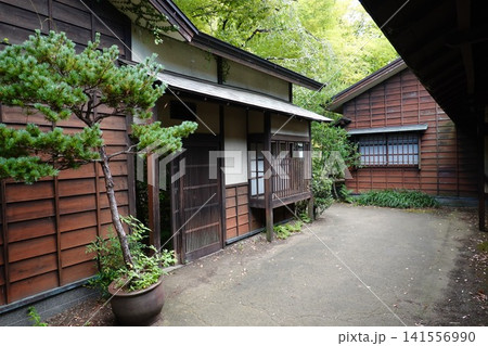 相模原公園 緑の街 路地のある街 相模原公園 緑の街 路地のある街 141556990