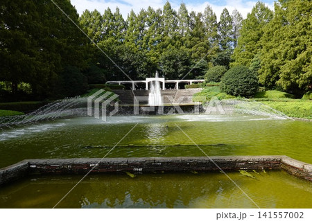 相模原公園 噴水広場 相模原公園 噴水広場 141557002