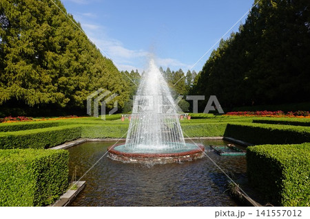 相模原公園　噴水広場 141557012