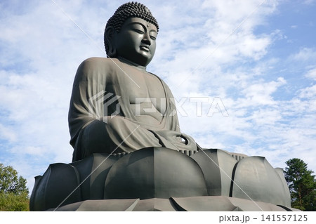 鹿野大仏 鹿野大仏 141557125