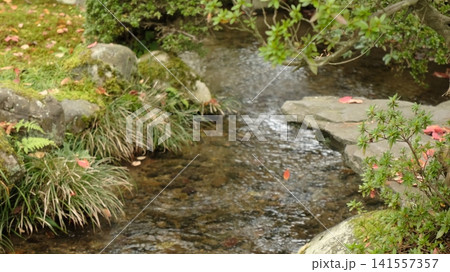 岩や苔の間を静かに流れる庭園の小川 岩や苔の間を静かに流れる庭園の小川 141557357