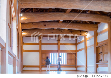 【小田原城　銅門の内部】 141557845