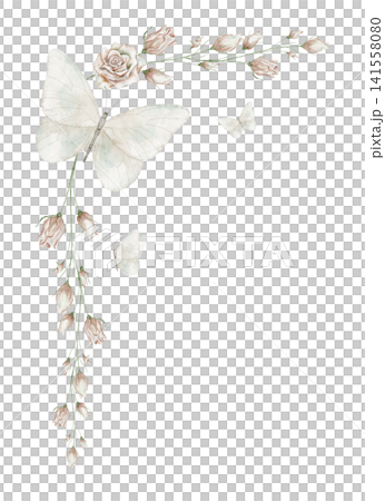 Watercolor butterfly botanical corner. Illustration of floral frame with moth and rose flowers in pastel colors. Botanical Template with branches for wedding stationery and feminine branding projects. Watercolor butterfly botanical corner. Illustration of floral frame with moth and rose flowers in pastel colors. Botanical Template with branches for wedding stationery and feminine branding projects. 141558080
