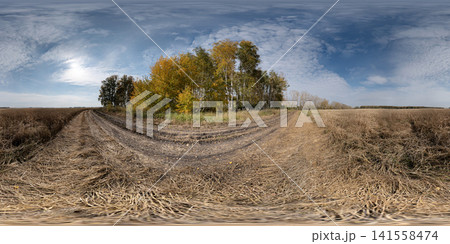 paved road leading towards serene rural landscape with grove of trees and fields under sky at eye level perspective from the road in brown and green natural scenery. HDRI 360 panorama paved road leading towards serene rural landscape with grove of trees and fields under sky at eye level perspective from the road in brown and green natural scenery. HDRI 360 panorama 141558474