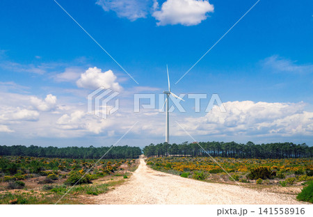 Rural landscape with dirt road in the field. Wind turbine on the horizon Rural landscape with dirt road in the field. Wind turbine on the horizon 141558916