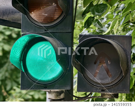 Green traffic light with pedestrian signal on leafy urban street Green traffic light with pedestrian signal on leafy urban street 141559355