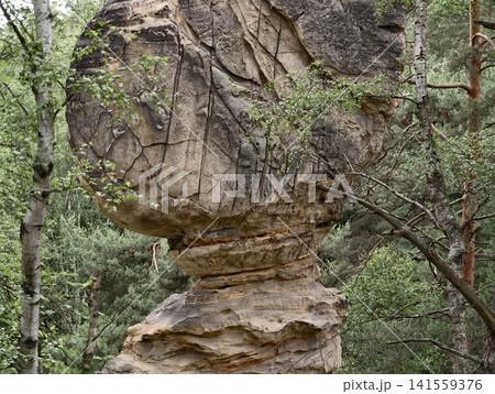 Balanced mushroom-shaped sandstone rock formation in mixed forest 141559376