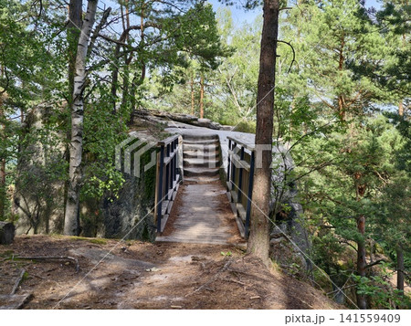 Wooden footbridge and stone steps through green pine forest Wooden footbridge and stone steps through green pine forest 141559409