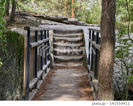 Wooden footbridge leading to carved stone steps in pine forest 141559411