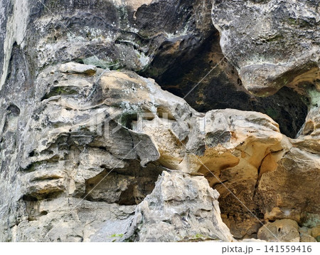 Weathered limestone cliff face with eroded crevices and ledges Weathered limestone cliff face with eroded crevices and ledges 141559416