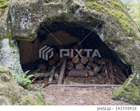 Stacked firewood stored inside mossy rock shelter 141559418