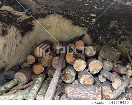 Stack of firewood logs inside rustic shelter with textured earthen wall 141559420