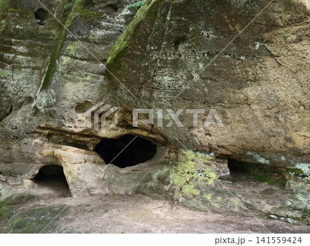 Mossy sandstone rock face with small cave openings 141559424