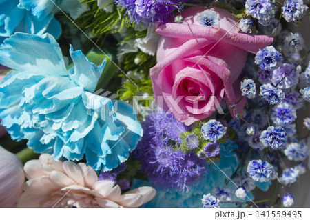 A close-up of a rose in a bouquet. A close-up of a rose in a bouquet. 141559495