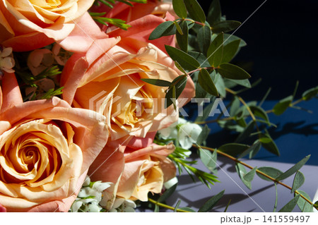 A close-up of rose flower. A close-up of rose flower. 141559497