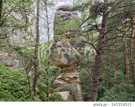 Tall mushroom-shaped sandstone pillar among green forest Tall mushroom-shaped sandstone pillar among green forest 141559521
