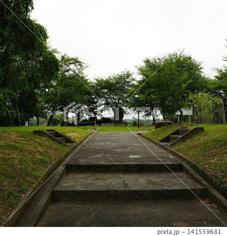 公園の長い階段 公園の長い階段 141559681