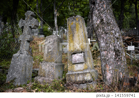Three weathered stone gravestones covered in lichen next to a tree trunk. Old abandoned cemetery with overgrown grass and vintage monuments. Historical graveyard landscape Three weathered stone gravestones covered in lichen next to a tree trunk. Old abandoned cemetery with overgrown grass and vintage monuments. Historical graveyard landscape 141559741