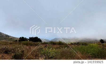 A beautiful Misty Mountain Landscape adorned with vibrant Wildflowers in a serene setting A beautiful Misty Mountain Landscape adorned with vibrant Wildflowers in a serene setting 141559925