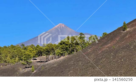 A Majestic Volcano Gracefully Surrounded by Lush Green Forests and Radiant Blue Skies 141560250