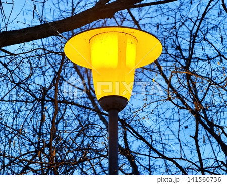 Closeup of vintage yellow lantern glowing softly under intertwined branches and urban twilight Closeup of vintage yellow lantern glowing softly under intertwined branches and urban twilight 141560736
