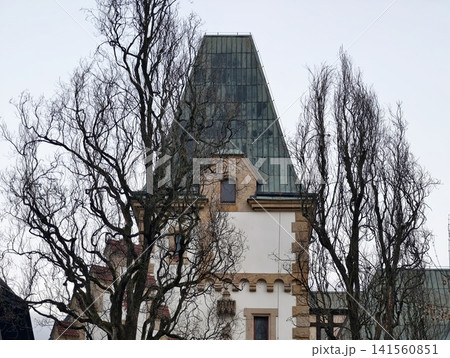 Heritage site featuring pointed spire surrounded by skeletal winter branches and cloudy backdrop 141560851