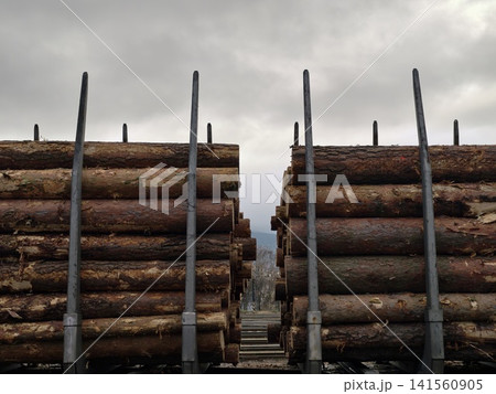 Logs on train. Stacked timber with rough bark and weathered stakes ready for transportation Logs on train. Stacked timber with rough bark and weathered stakes ready for transportation 141560905