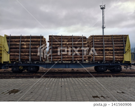Carriages filled with timber awaiting departure. Heavy cargo trains laden with wood stand at loading area Carriages filled with timber awaiting departure. Heavy cargo trains laden with wood stand at loading area 141560906