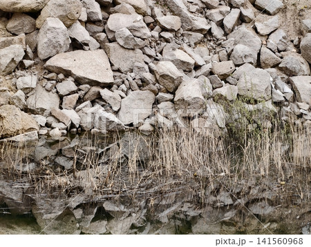 Closeup of stone reflection showcasing complex textures and natural silhouettes in muted earth colors Closeup of stone reflection showcasing complex textures and natural silhouettes in muted earth colors 141560968