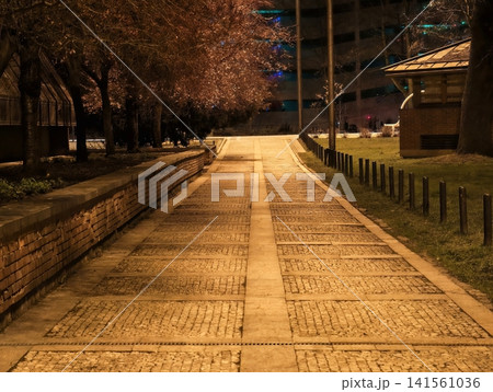 Tranquil evening radiance illuminating deserted park featuring decorative paving and faraway structures Tranquil evening radiance illuminating deserted park featuring decorative paving and faraway structures 141561036