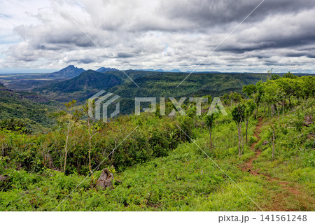 Panoramic Landscape of Black River Gorges National Park, Mauritius Panoramic Landscape of Black River Gorges National Park, Mauritius 141561248