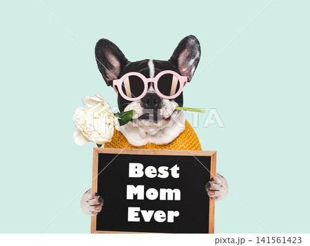 Best Mom Ever. Cute dog and bouquet of flowers Best Mom Ever. Cute dog and bouquet of flowers 141561423