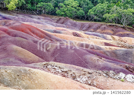 The Famous Seven Coloured Earths Volcanic Dunes in Chamarel, Mauritius 141562280