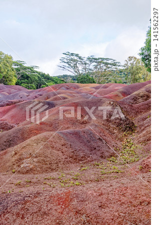 The Famous Seven Coloured Earths Volcanic Dunes in Chamarel, Mauritius 141562297
