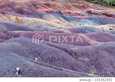 The Famous Seven Coloured Earths Volcanic Dunes in Chamarel, Mauritius The Famous Seven Coloured Earths Volcanic Dunes in Chamarel, Mauritius 141562301
