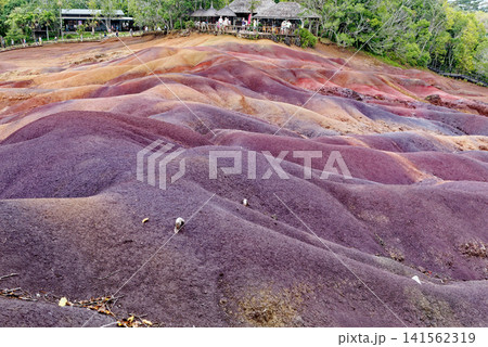 The Famous Seven Coloured Earths Volcanic Dunes in Chamarel, Mauritius The Famous Seven Coloured Earths Volcanic Dunes in Chamarel, Mauritius 141562319