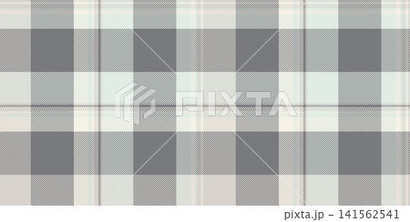 A delicate tartan plaid design with orderly checks and a woven fabric look. White and gray tones give the seamless fabric pattern soft decorative detail for wrapping papers. It suits textile prints. 141562541