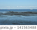 木更津沖の干潟 141563488