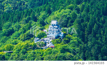 郡上八幡城 郡上八幡城 141564103