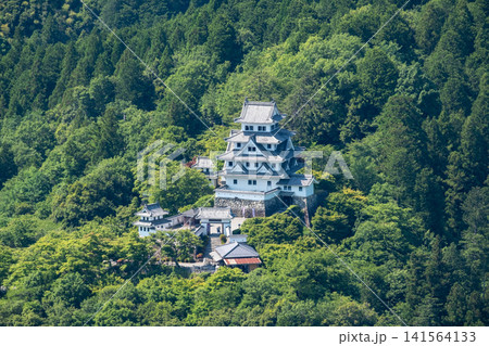 郡上八幡城 郡上八幡城 141564133